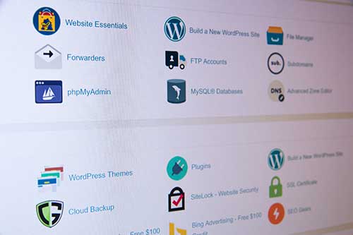 choosing hosting and domain