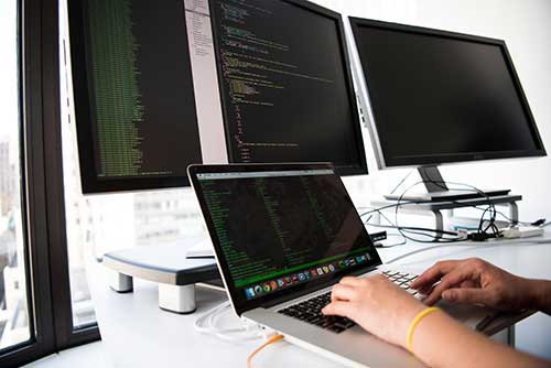 choosing hosting and domain